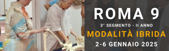 RM9_2A3s