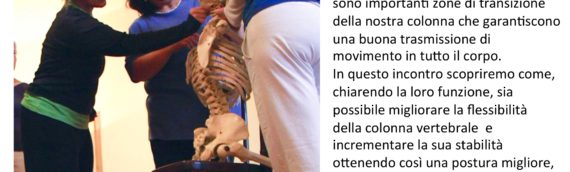 Il prezioso gioco delle vertebre